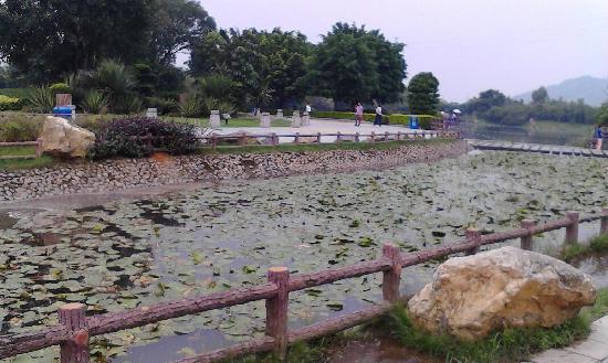 Phoenix Hill (Fenghuang Shan)