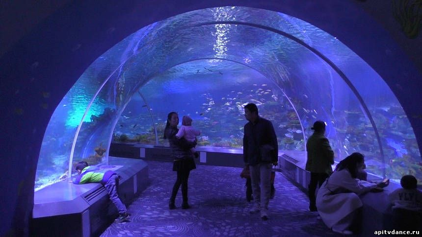 Rizhao Aquarium