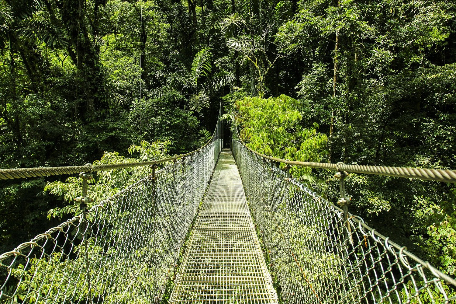 Arenal Hanging Bridges