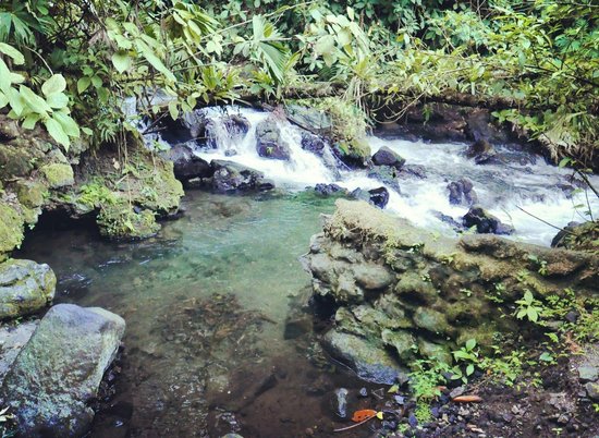 Rio Chollin