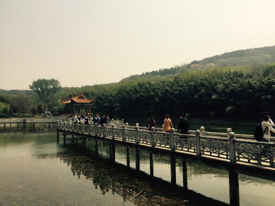 Shangyao Forest Park