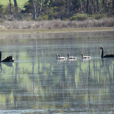 Calverts Lagoon Conservation Area