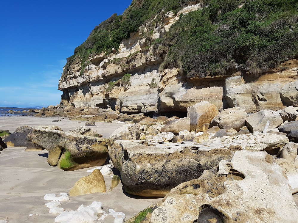 Fossil Bluff