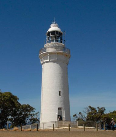 Table Cape Lighthouse Experience