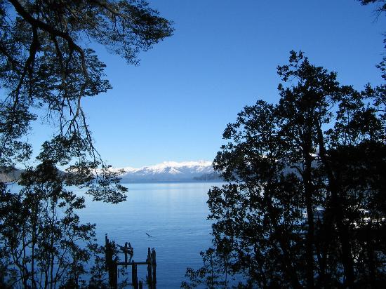 Bosque de Arrayanes