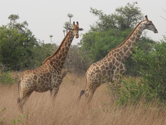 Quicama National Park