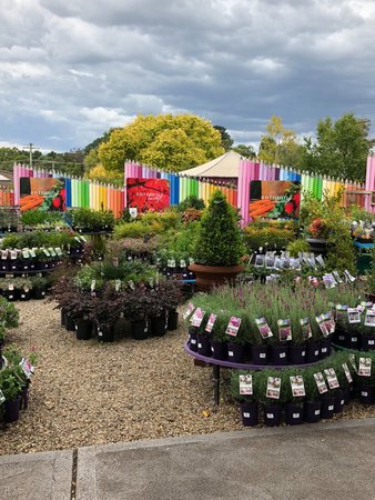 Mittagong Garden Centre