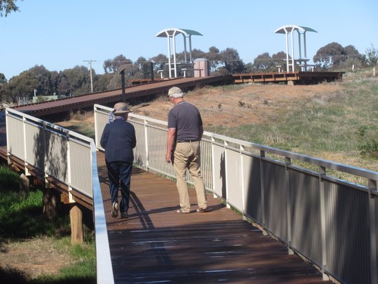 West Wyalong Wetlands