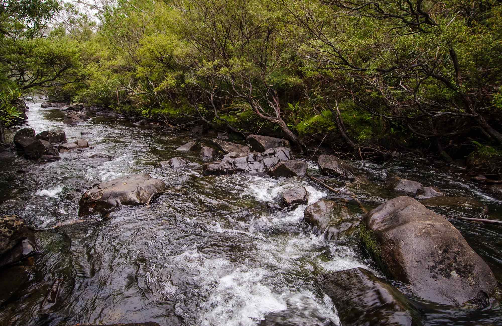 Barrington Tops National Park