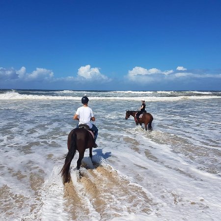 Tassiriki Ranch Beach Horse Riding & Holiday Cabins