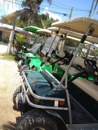 Gavilan's Golff Cart