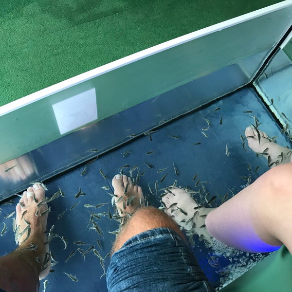 Beach Fish Spa