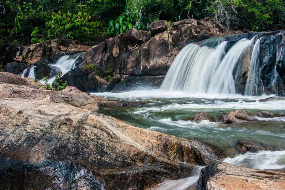 Rio Bravo Forest Reserve