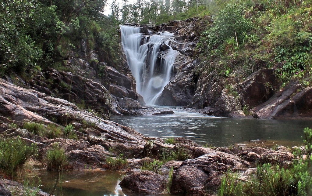Mountain Pine Ridge Forest Reserve