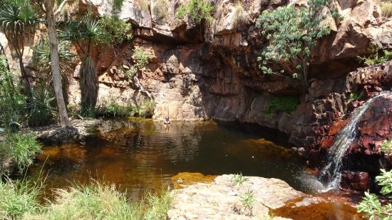 Molly Springs