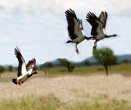 Parry Lagoons Nature Reserve