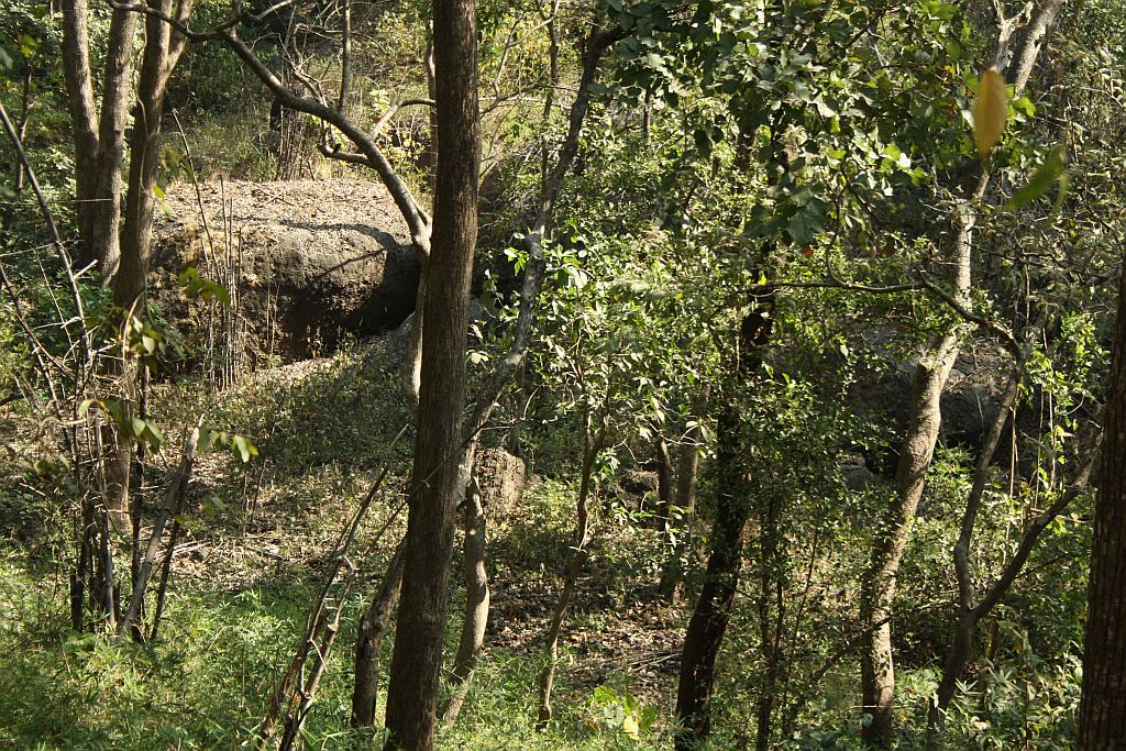 Sanjay Gandhi National Park
