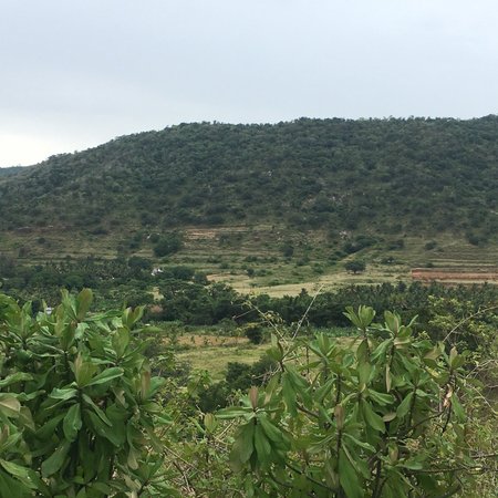 Attapadi Reserve Forest