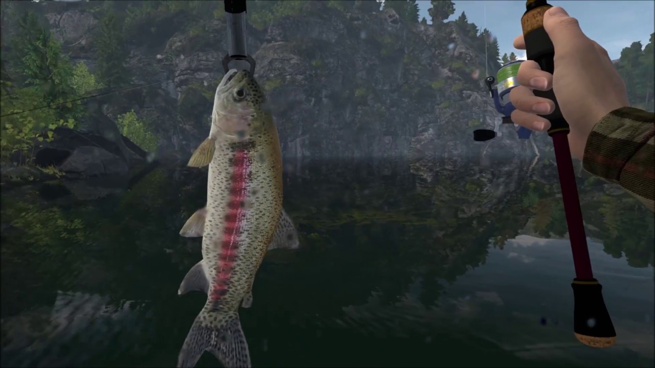 Shree Fish Planet
