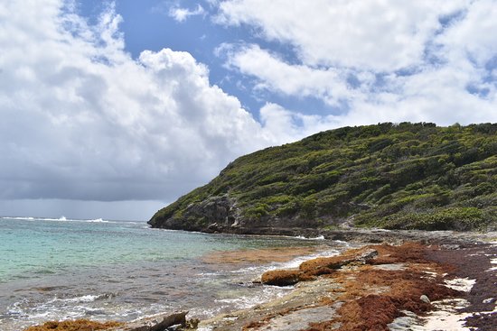 Beach of Anse Feuillard