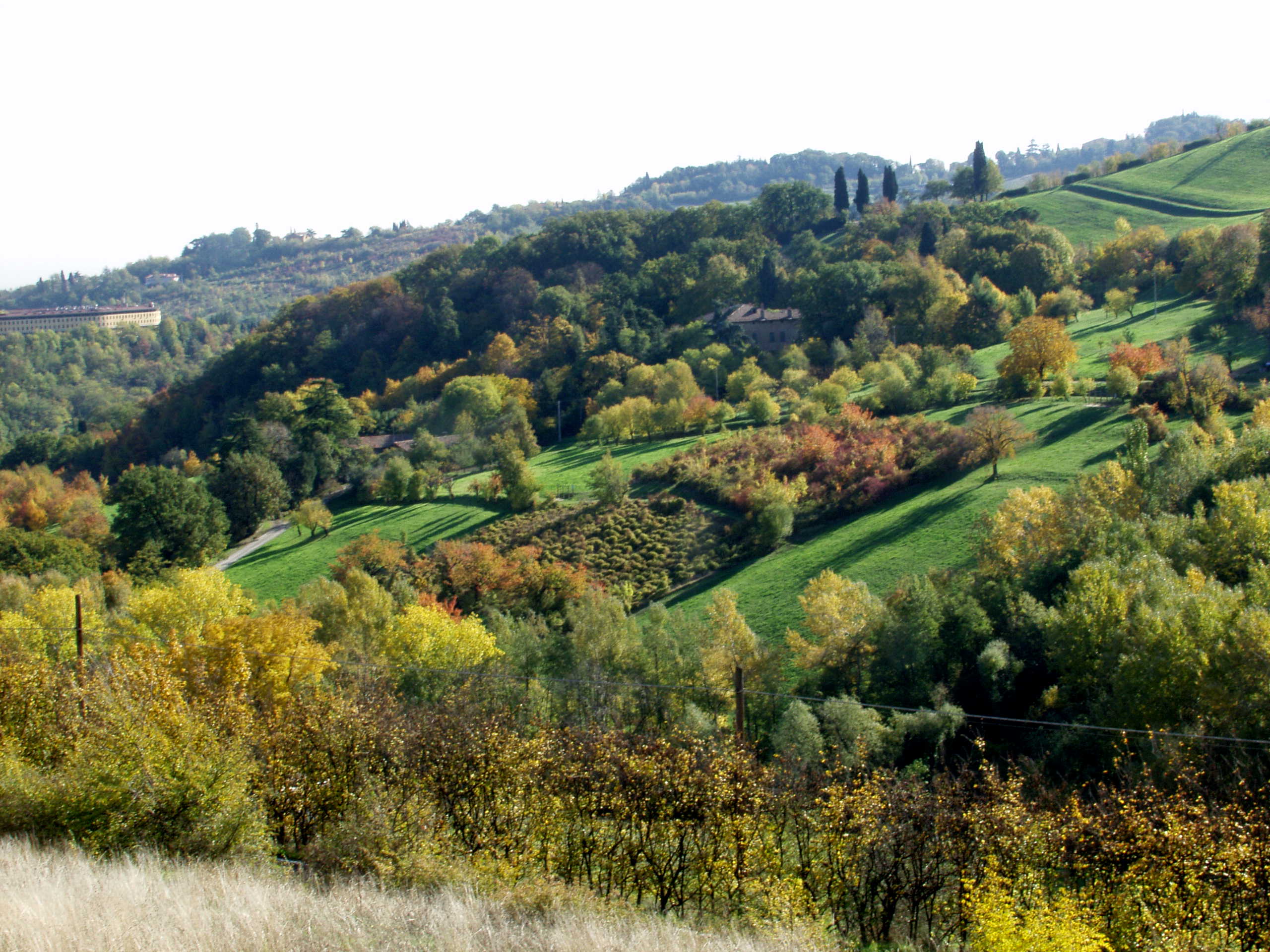 Parco di Villa Ghigi
