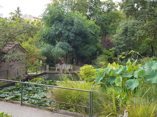 Orto Botanico di Ferrara