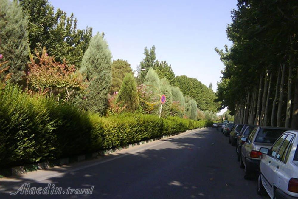 Outdoor Pictures 1