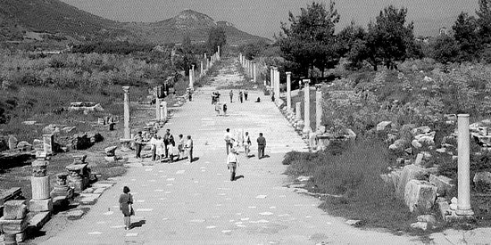 Royal Road