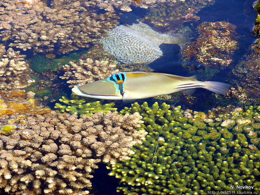Underwater Observatory Marine Park