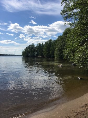 Viikinsaari Island
