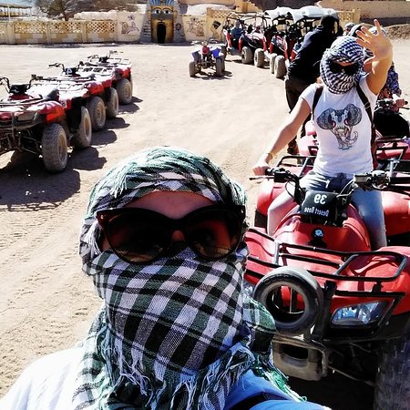 Plaza Safari Excursions