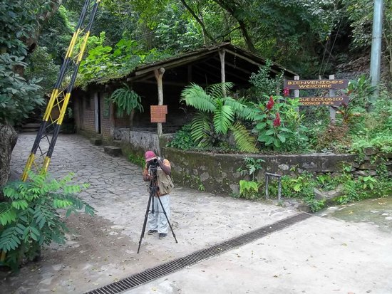 Cinquera Rain Forest Park