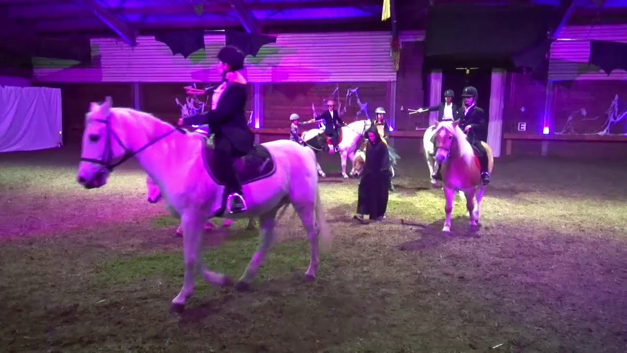 Theatre Equestre de Wattrelos