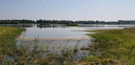 Biologische Station Rieselfelder