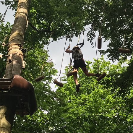 Kletterwald Darmstadt