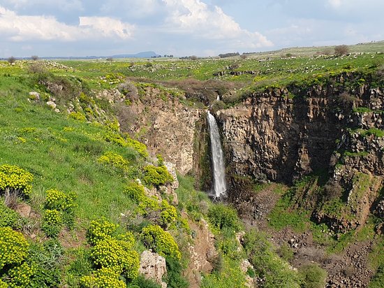 Gamla Nature Reserve