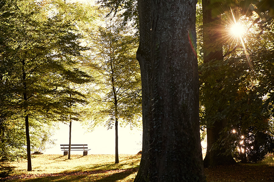 Gartendenkmal Lindenhofpark