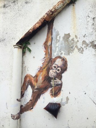 Orang Utan Murals