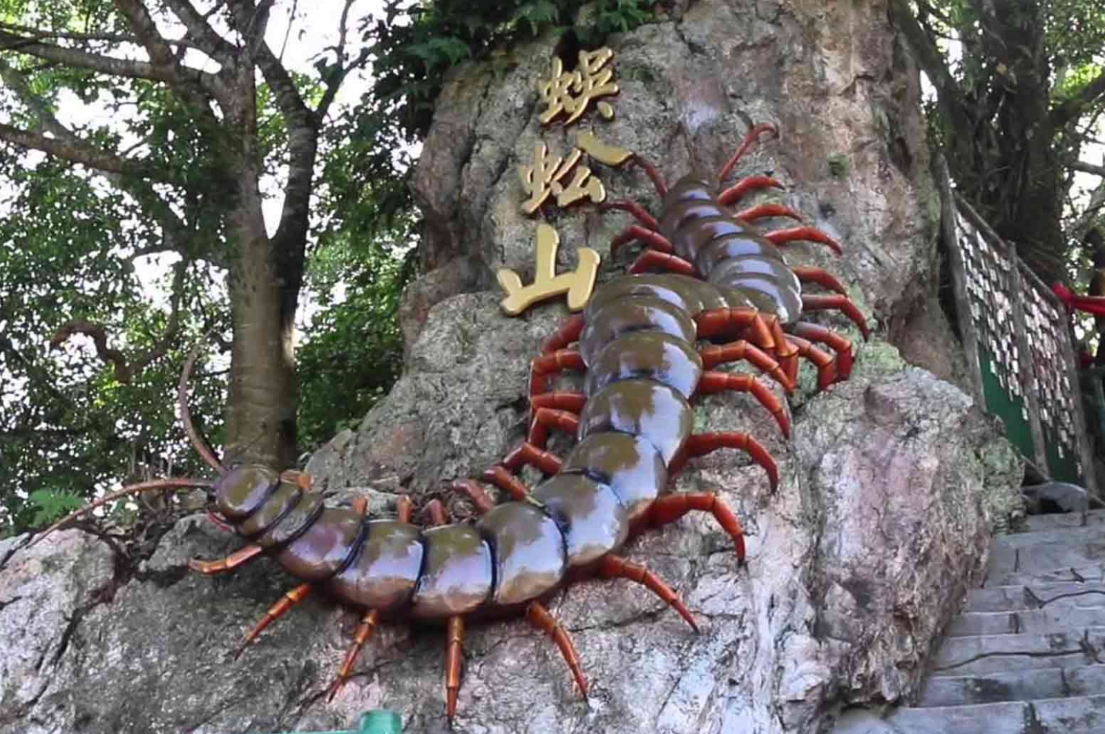 Centipede Temple
