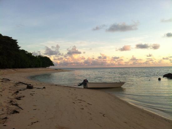 Sepilok Tropical Wildlife Adventure