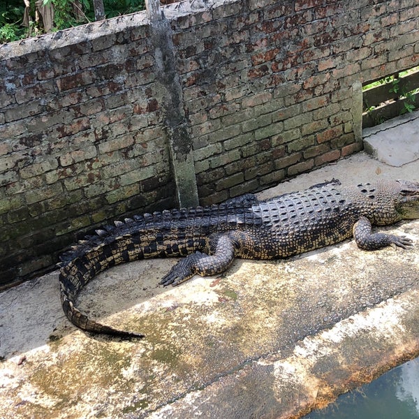 Sandakan Crocodile Farm