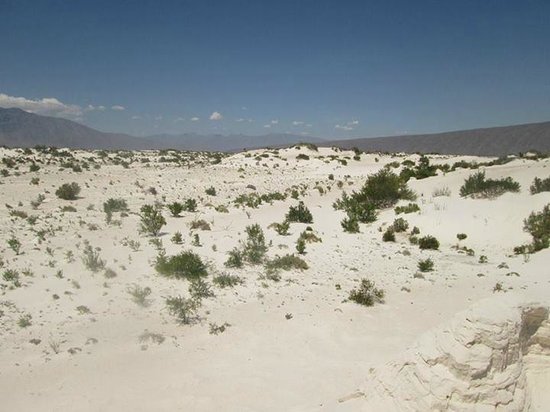 Cuatro Cienegas Reserve
