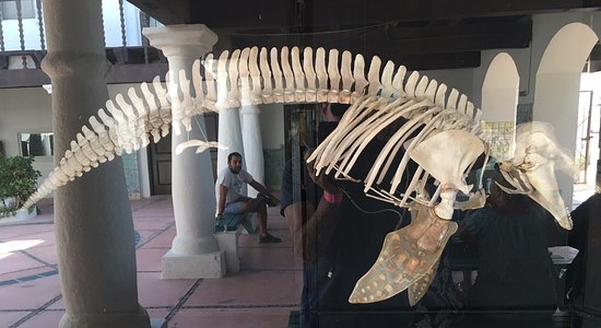 Intercultural Center for the Study of Deserts and Oceans