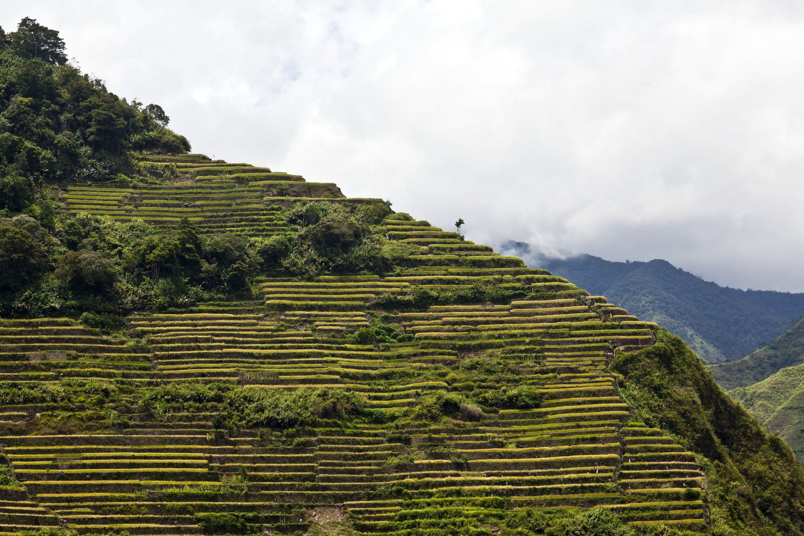 Batad Rice Terraces