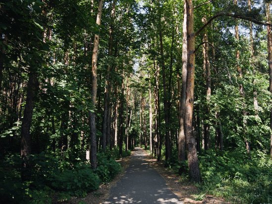 Bashkortostan Forester's Park