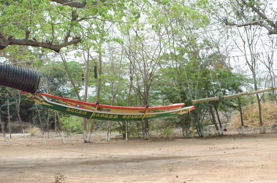 Accrobaobab Adventure