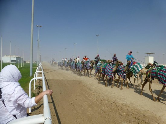 Al Shahaniya Racetrack
