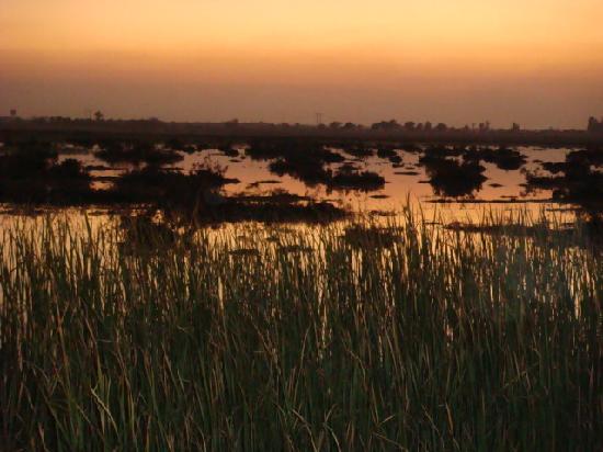 Lake Mirpurkhas