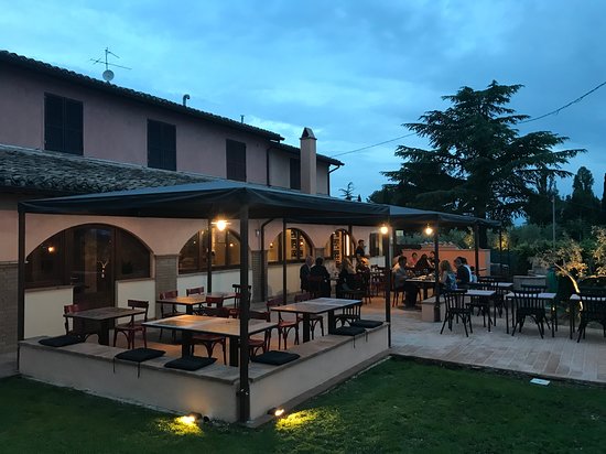 Wine Link Italy