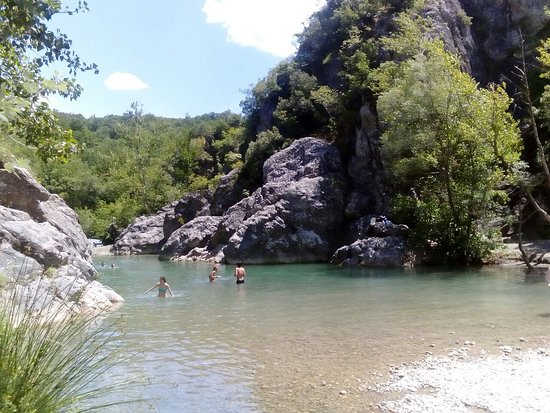 Foresta di Berignone